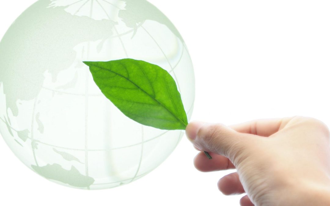 Transformez votre jardin en mini-centrale : les solutions d’énergies renouvelables pour particuliers qui cartonnent