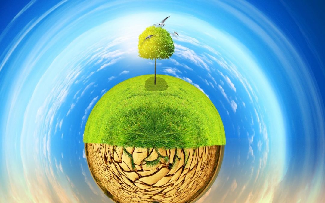 Empreinte Carbone : Quand Nos Rêves Influencent la Planète