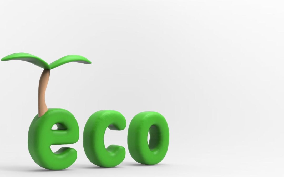 La face cachée des péchés numériques : L’empreinte carbone d’un clic
