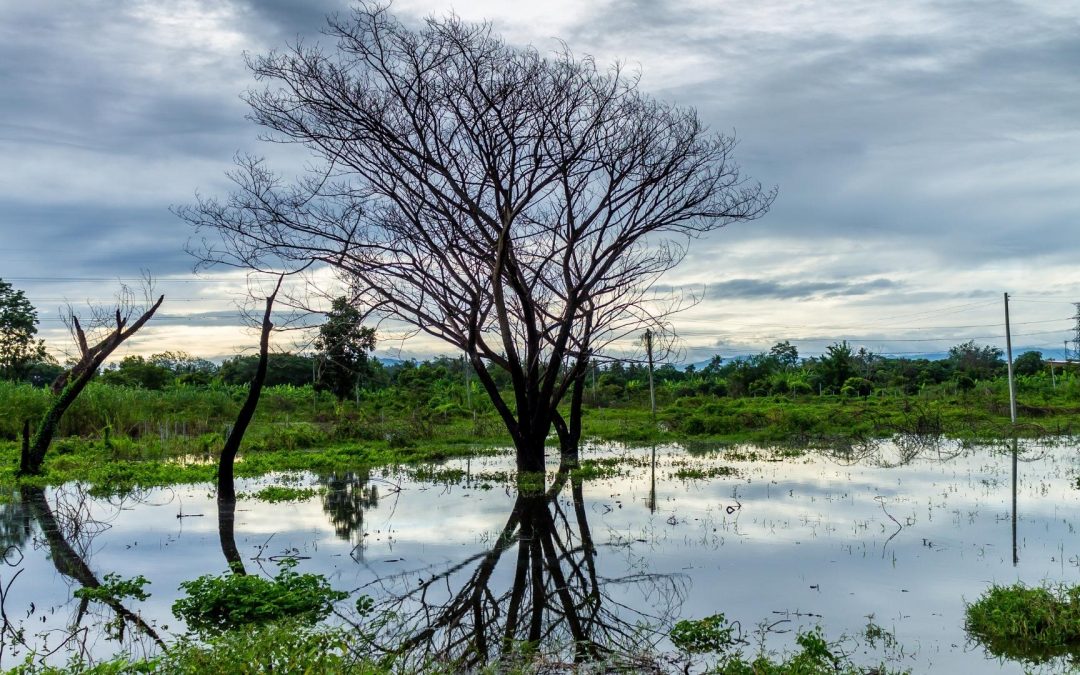 L’empreinte carbone des rêves : comment nos aspirations alimentent le réchauffement climatique