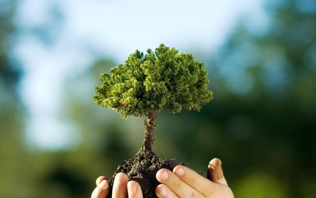 Climat : Quand la Machinerie Antique Revient pour Sauver le Monde