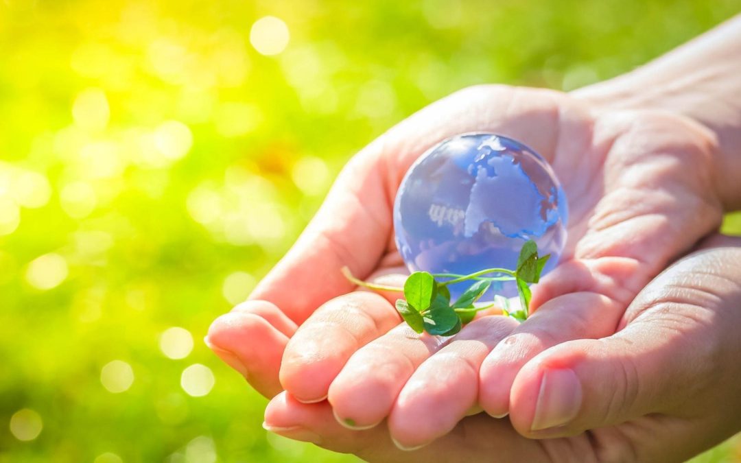 Réchauffement Climatique : Pourquoi les Oiseaux Changent-ils de Chansons ?