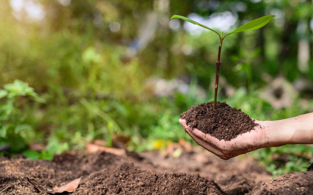 Le réchauffement climatique est-il en train de modifier notre ADN ?
