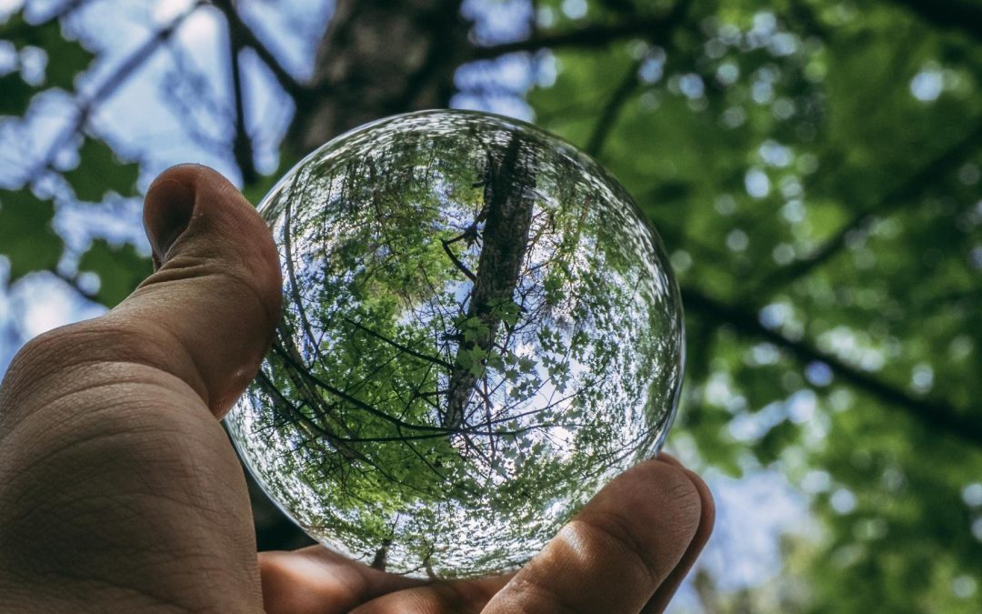 Quand le soleil se couche, l’avenir des énergies renouvelables s’assombrit-il ?