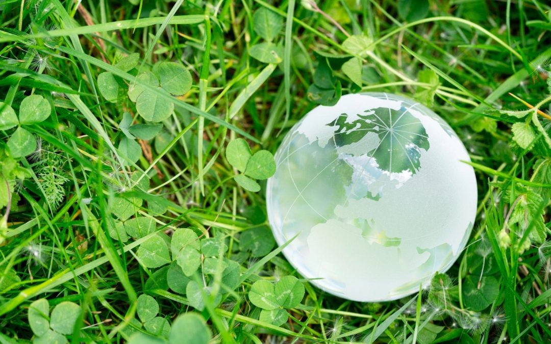 Entre mythes et réalités : le vrai coût des énergies fossiles pour la biodiversité