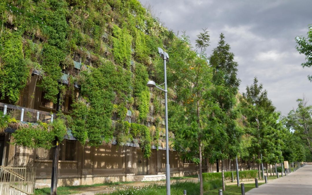 Réchauffement Climatique : Ces Bluettes Technologiques qui Faillitéront à Sauver la Planète